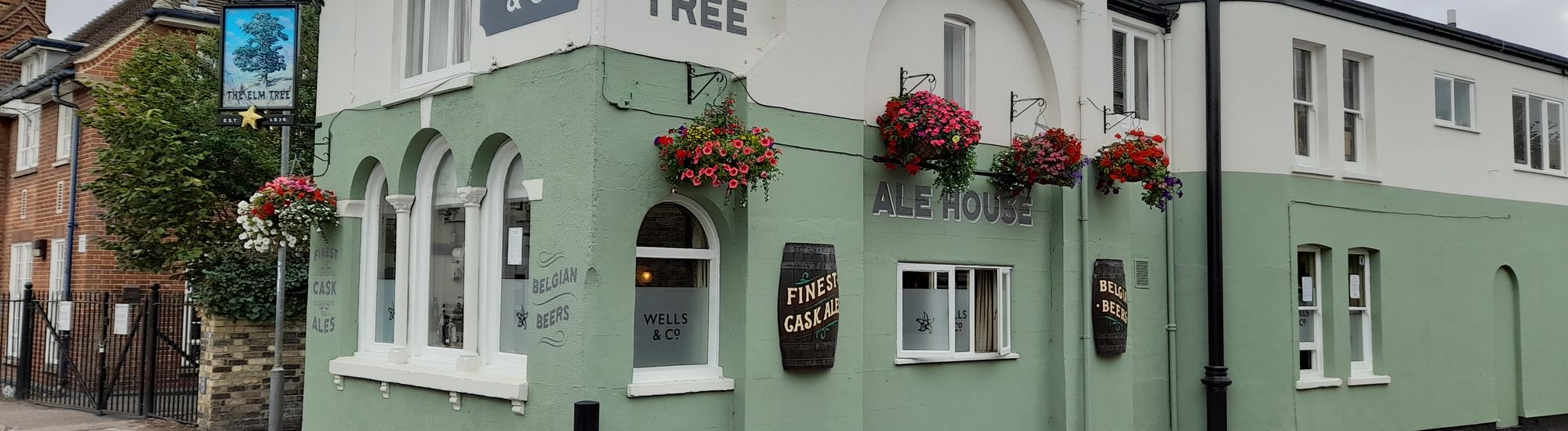 The Elm Tree - Cambridge